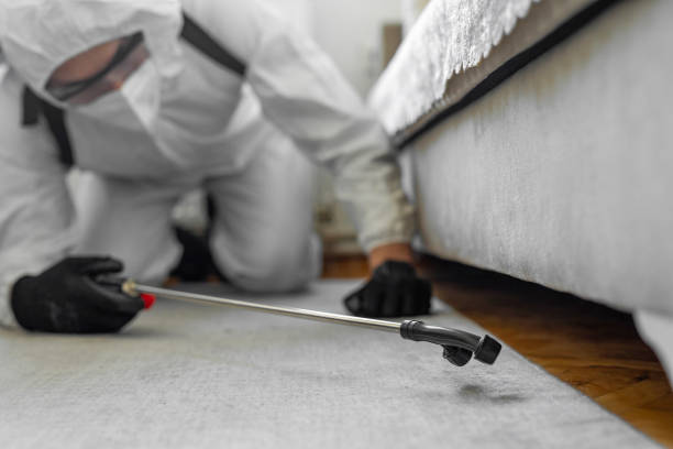 Professional Rodent Control technician working in Squirrel Mountain Valley, CA