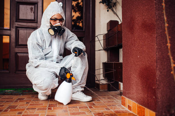 Reliable Rodent Control contractor in Squirrel Mountain Valley, CA by Nex Pest Control