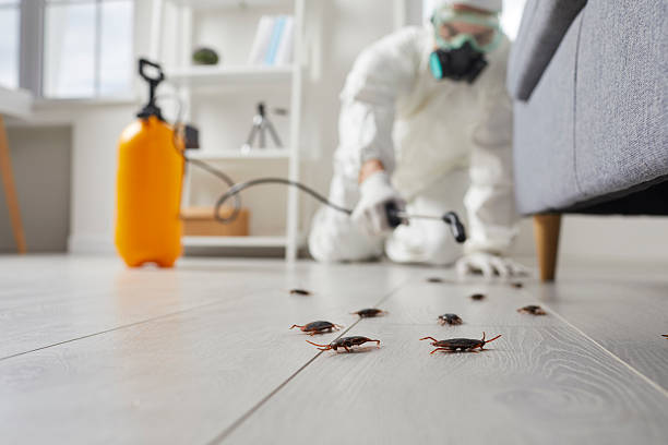 Trusted Fumigation Services service in Squirrel Mountain Valley, CA - Nex Pest Control