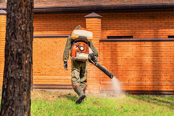 Trusted Termite Control service in Squirrel Mountain Valley, CA - Nex Pest Control